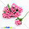 /p15429-tichinki-na-provoloke-yarko-rozovie/