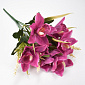Букет орхидей, 42 см, Малиновый (DIF-062094)