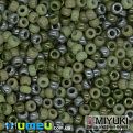 Бисер японский Miyuki круглый RR 11/0 №MIX95, Микс зеленый, 5 г (BIS-045565)