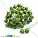 /p15064-kalina-v-sahare-12-mm-zelenaya/