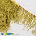 Перья страуса на ленте, 8-10 см, Оливковые (PER-040289)