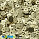 /ru/p37642-payetki-indiya-kruglie-ploskie-4-mm-zolotistie/