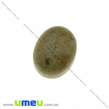 Кабошон нат. камень Коралл окаменелый, Овальный, 20х15 мм, 1 шт (KAB-023938)