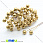 /p15490-kalina-8-mm-zolotistaya/