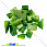 /p12608-skol-naturalniy-kamen-perlamutr-zeleniy-8-17-mm/