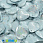 /p37871-payetki-indiya-serdce-17x17-mm-golubie/