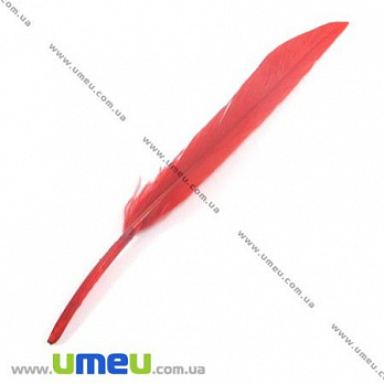 Перья Гусиные, Красные, 10-13 см, 1 уп (12 шт) (PER-002621)