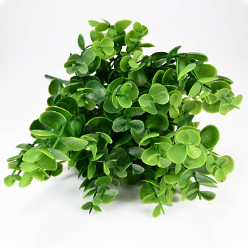 Гілка евкаліпта, 33 см, Зелена (DEC-054093)