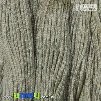 [Архів] Муліне ПНК Кірова 6601 (SXM-026710)