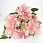 /ru/p62573-buket-georgin-48-sm/