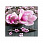 /ru/p51361-nabor-almaznoy-zhivopisi-na-podramnike-magnoliya-30x30-sm/