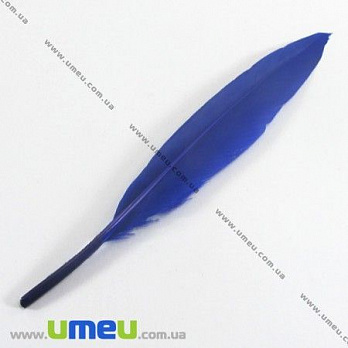 Перья Гусиные, Синие (Ультрамарин), 10-13 см, 1 уп (12 шт) (PER-002626)