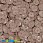 /p41453-payetki-indiya-kruglie-granenie-8-mm-bezhevie/