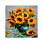 /ru/p52413-nabor-almaznoy-zhivopisi-na-podramnike-30x30-sm-buket-podsolnuha/