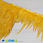 /p38932-perya-petuha-na-lente-8-15-sm-zheltie/