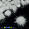 /p36106-pompon-norkoviy-2-5-3-sm-beliy/