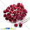 /p15075-kalina-v-sahare-12-mm-krasnaya/