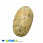 /p26071-podveska-iz-naturalnogo-kamnya-korall-okameneliy-ovalnaya-37x22-mm/
