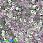 /p41801-payetki-indiya-kruglie-ploskie-3-mm-serebristie-av/