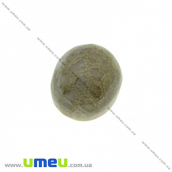 Кабошон нат. камень Коралл окаменелый, Овальный, 18х16 мм, 1 шт (KAB-023937)