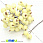 /p25711-kalina-v-sahare-12-mm-zheltaya-svetlaya/