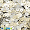 /p37432-payetki-indiya-kruglie-ploskie-smeshyennoe-otverstie-5-mm-serebristo-bezhevie/
