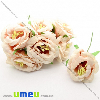 [Архів] Еустома тканинна, 40 мм, Персикова (DIF-029745)