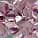 /p41826-payetki-indiya-listiki-15x14-mm-malinovie/