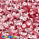 /p37806-payetki-indiya-kruglie-granenie-5-mm-krasnie/