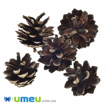 Шишка соснова, 30-40 мм, Коричнева (DIF-042872)
