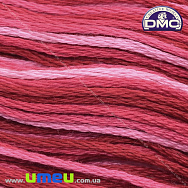 Муліне DMC 0107 Меланж малиновий (DMC-034252)