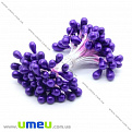 Тычинки на нитке большие, Фиолетовые, 1 пучок (DIF-014984)