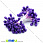 /p14984-tichinki-na-nitke-bolshie-fioletovie/