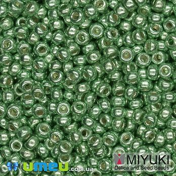Бісер японський Miyuki круглий RR 11/0 №4214 Duracoat Galvanized, Салатовий (BIS-045705)