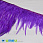 /p38928-perya-petuha-na-lente-8-15-sm-fioletovie/