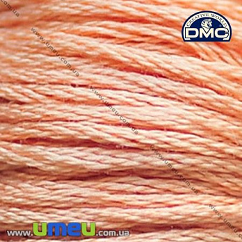 Мулине DMC 3771 Терракотовый, ультра оч.св. (DMC-006219)