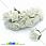 /p8416-roza-lateksnaya-15-mm-belaya/