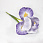 /ru/p62710-iris-lateksniy-70-sm/