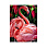 /ru/p52429-nabor-almaznoy-zhivopisi-na-podramnike-30x20-sm-flamingo/