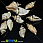 /p34079-podveska-rakushka-s-galvanicheskim-pokritiem-30-48x17-23-mm/
