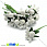 /p15077-tichinki-na-provoloke-s-yagodkoy-belie/