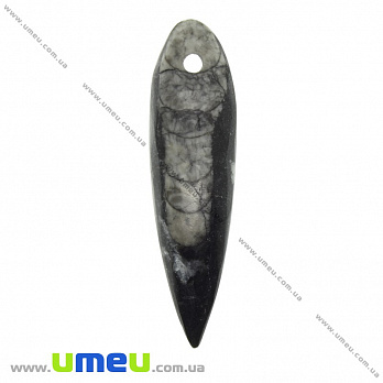 Подвеска из натурального камня, Ортоцерас, 71х19 мм, 1 шт (POD-033534)