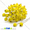 /p15073-kalina-v-sahare-12-mm-zheltaya/