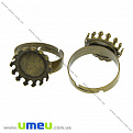 Кольцо под кабошон 14 мм, Античная бронза, 1 шт (OSN-019926)