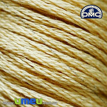 Мулине DMC 0738 Желто-коричневый, оч.св., 8 м (DMC-005955)