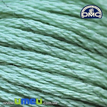 Мулине DMC 3817 Серовато-зеленый, св., 8 м (DMC-006247)