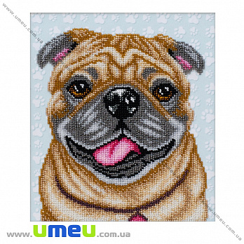 Набір для вишивання бісером VDV, Після прогулянки ТН-911, 21х23 см (SXM-034796)