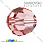/p2267-busina-swarovski-5000-rose-peach-10-mm-granenaya-kruglaya/