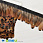 /p42648-perya-fazana-na-lente-4-5-sm-korichnevie-naturalnie/