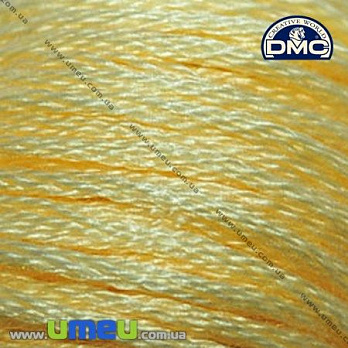 Мулине DMC 3078 Желтый золотой, оч.св., 8 м (DMC-006143)